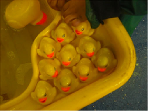 Amazing maths! A three-year-old experiments with number, space, shape and orientation (without even realising it!) at Beech Hill Nursery